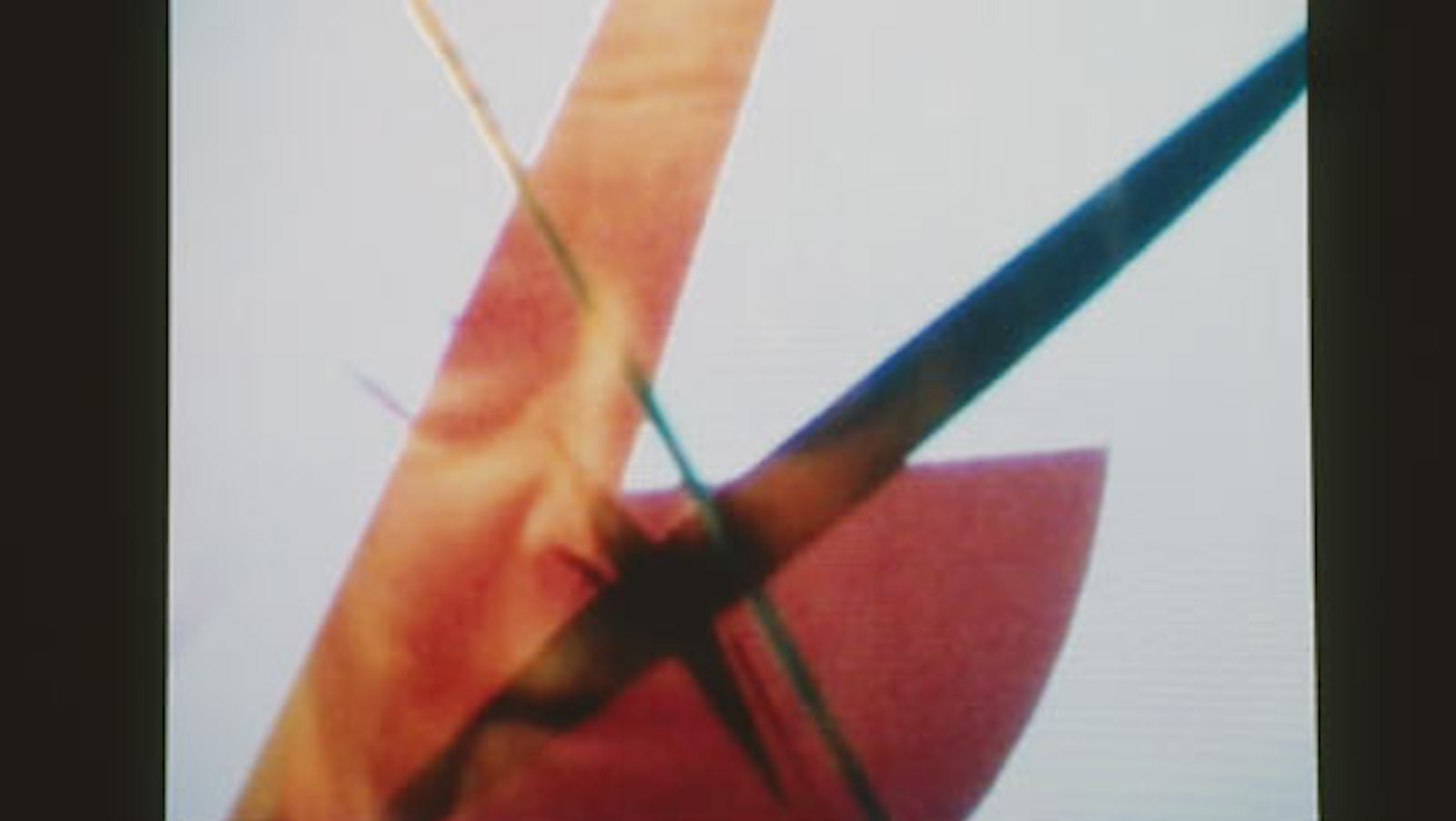 pilgrimage-from-scattered