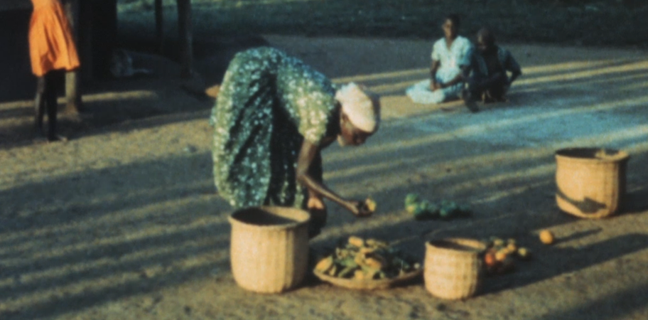 A Few Notes on our Food Problem