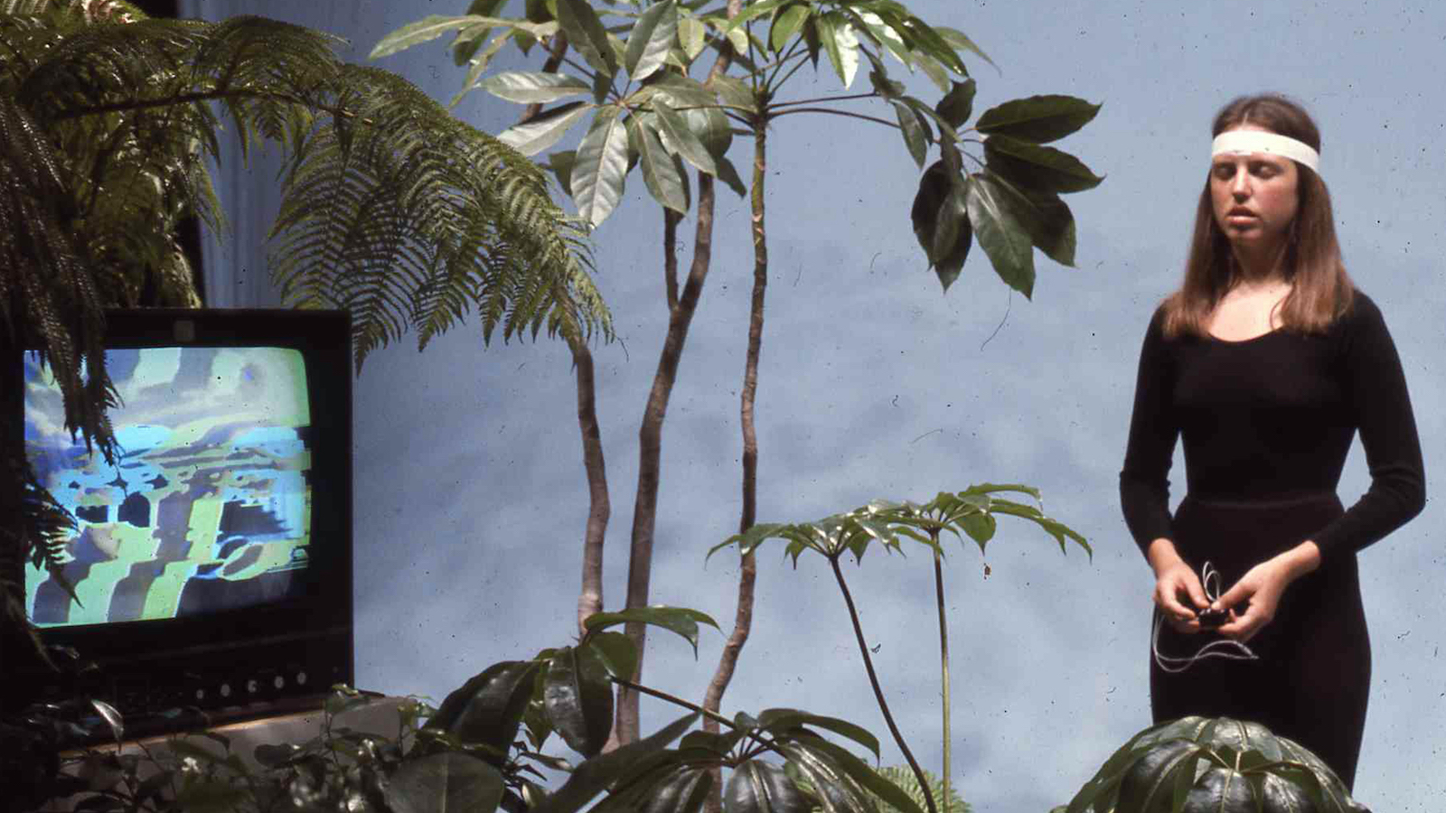 Secret-Life-Of-Plants-web