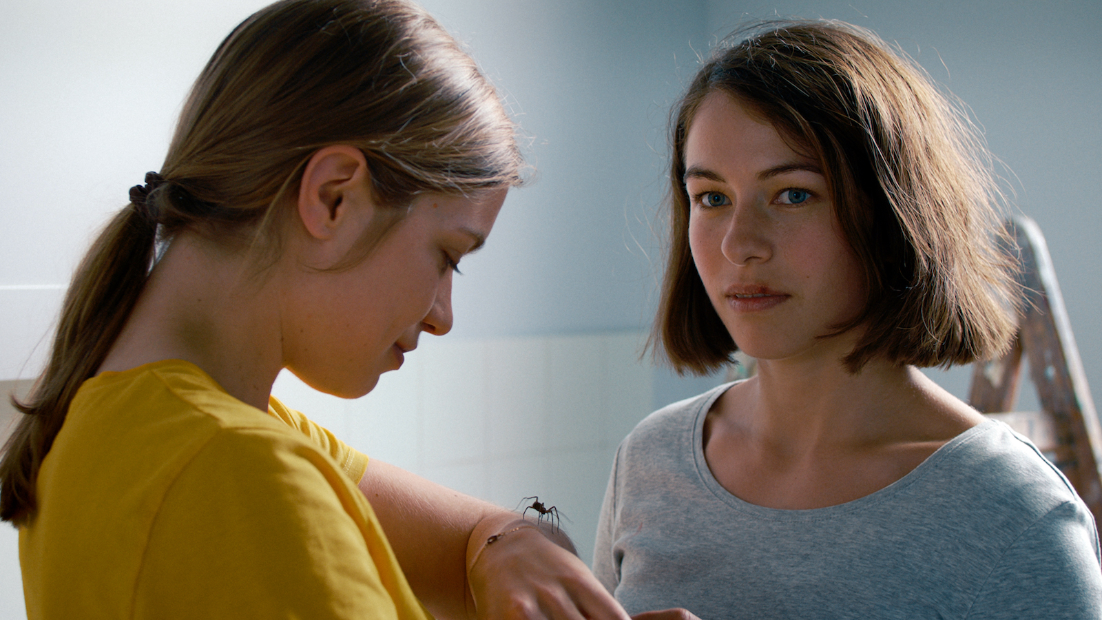 the girl and the spider