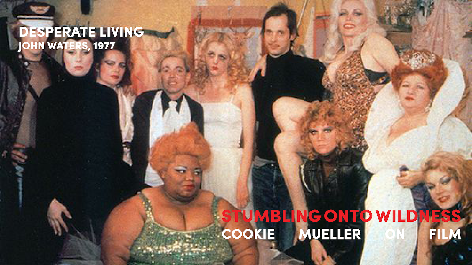 DESPERATELIVING_COOKIEMUELLERSERIES