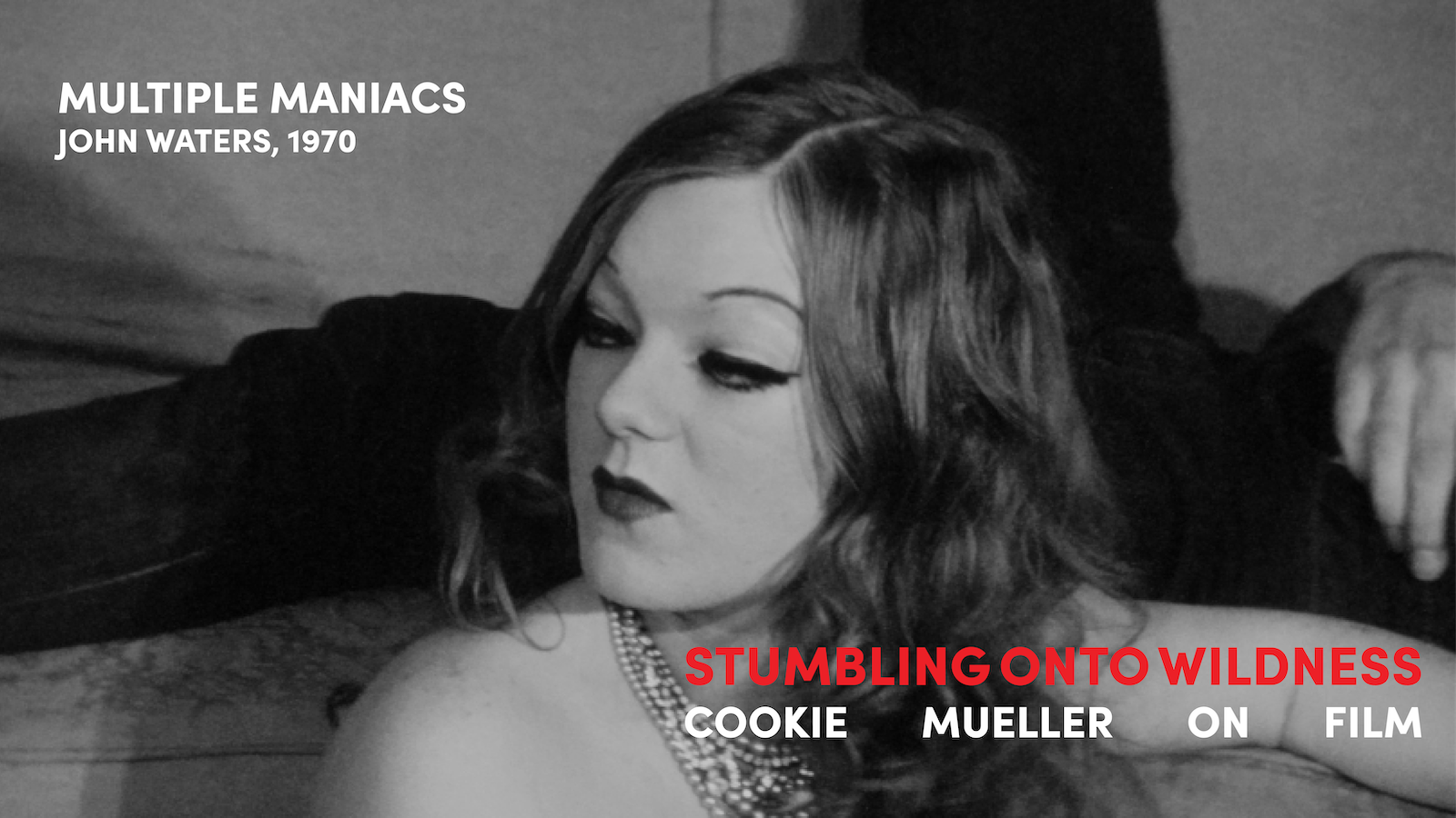 MULTIPLEMANIACS_COOKIEMUELLERSERIES