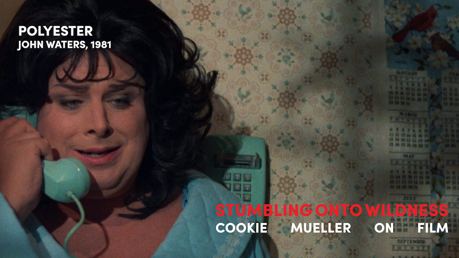 POLYESTER_COOKIEMUELLERSERIES