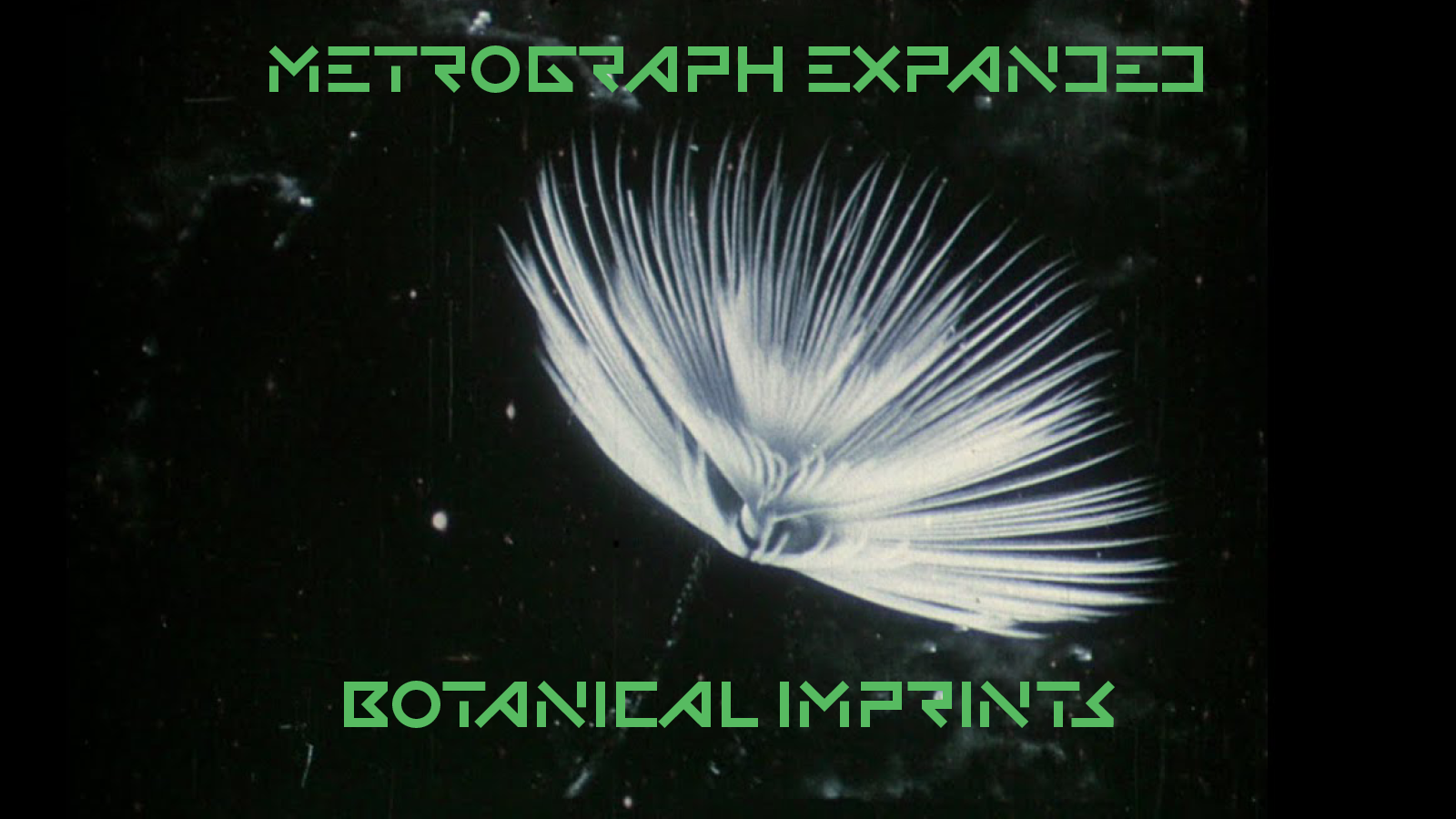 BOTANICALIMPRINTS