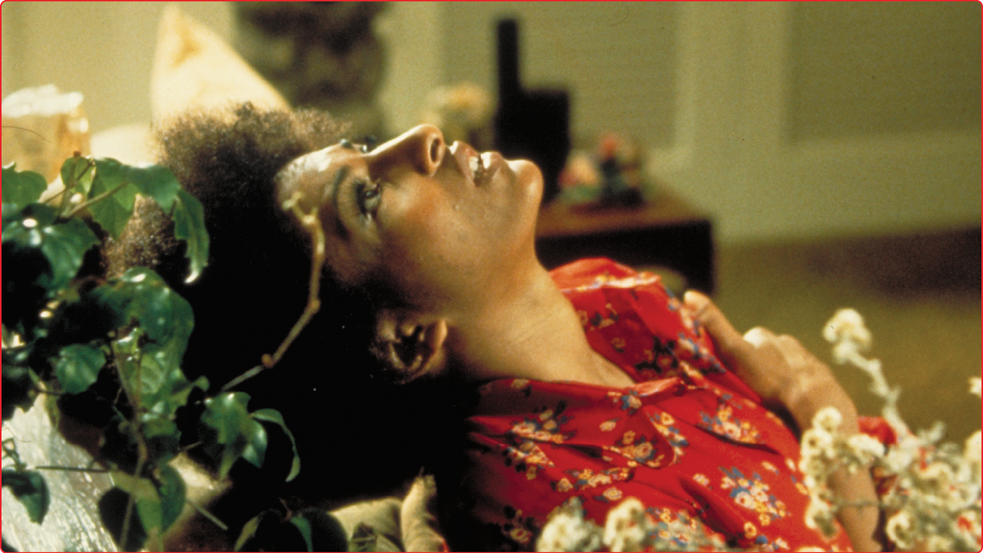 scream blacula scream 2