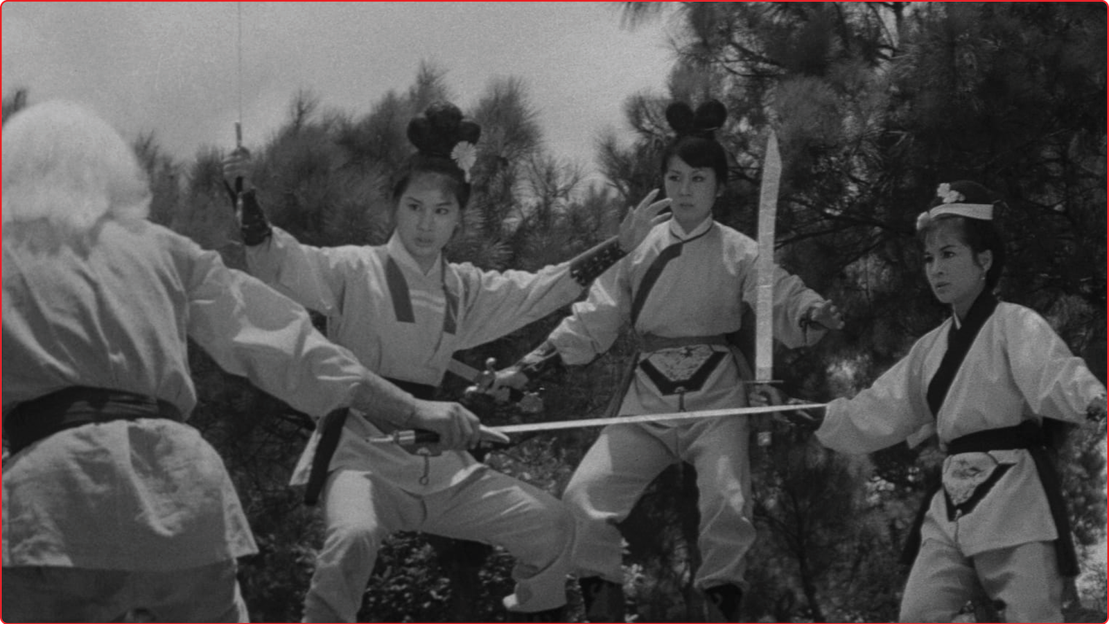 Vengeance of the Phoenix Sisters