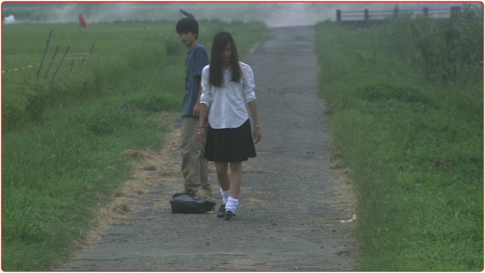 lily chou chou 2 lily chou chou 2