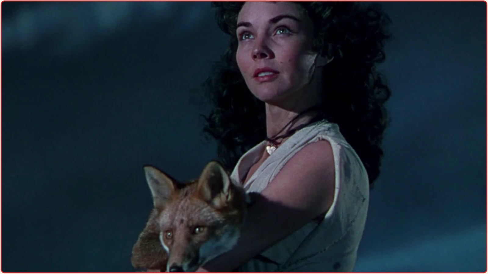 Joshua Fu EOY Joshua Fu EOY