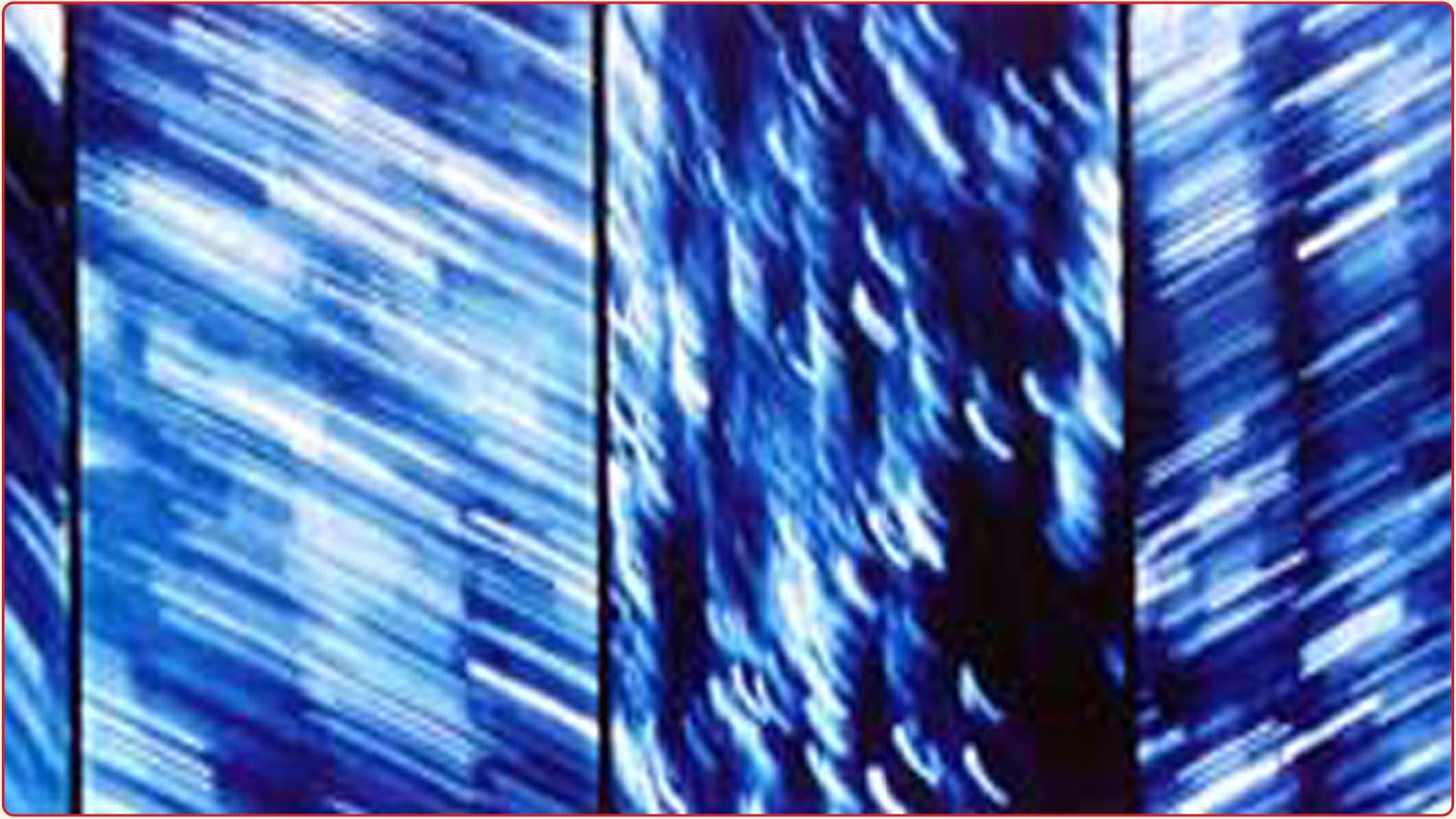 Joshua Minsoo Kim EOY Joshua Minsoo Kim EOY