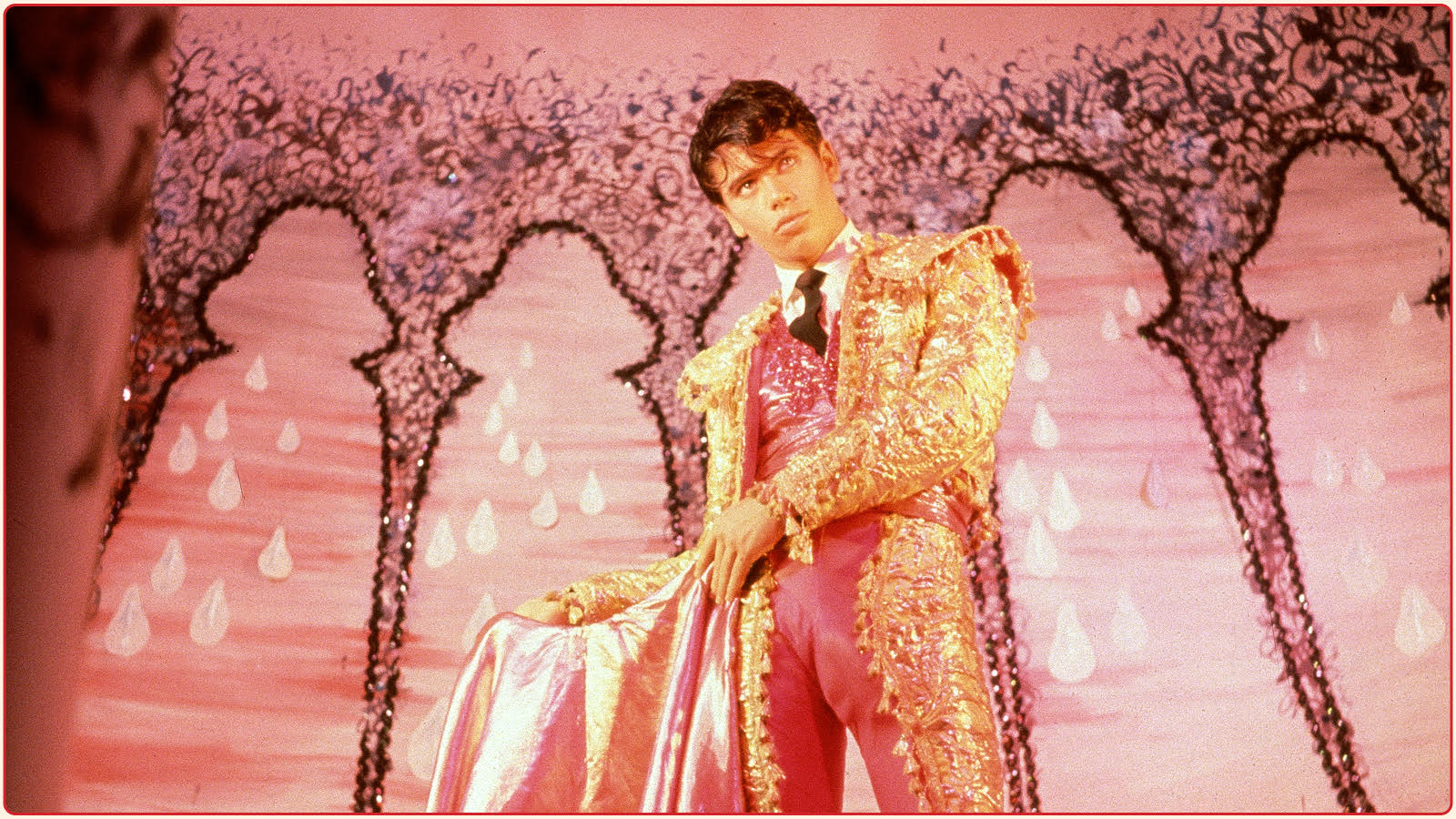 Pink Narcissus Pink Narcissus