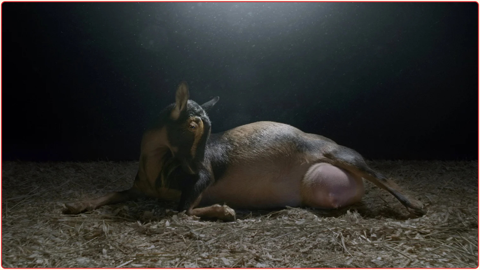 realm of satan 3 realm of satan 3