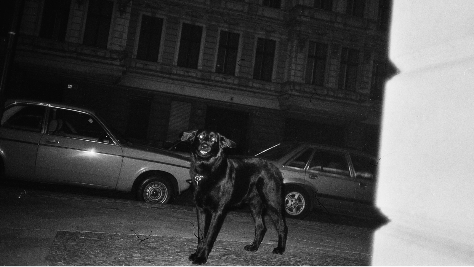 I’m Not Everything I Want to Be