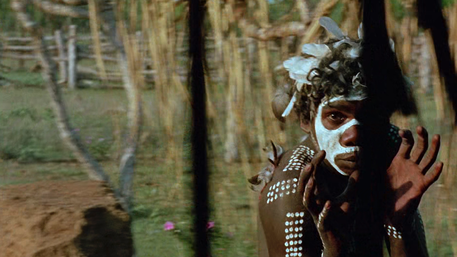 Walkabout